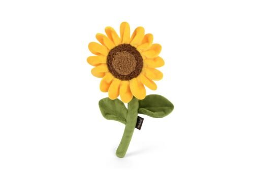 p-l-a-y-blooming-buddies-sassy-sunflower
