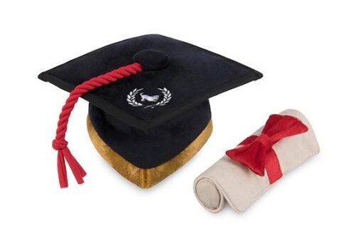 p-l-a-y-backtoschool-graduation